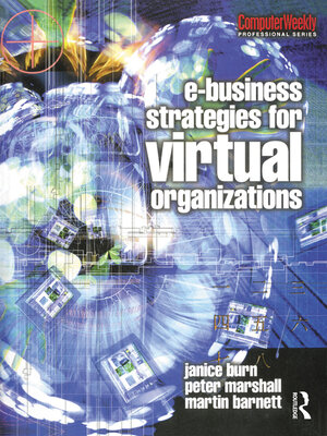 cover image of e-Business Strategies for Virtual Organizations